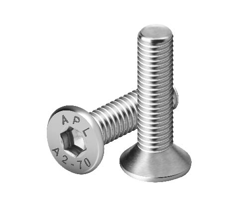 CSK ALLEN SS Bolts Manufacturers in India