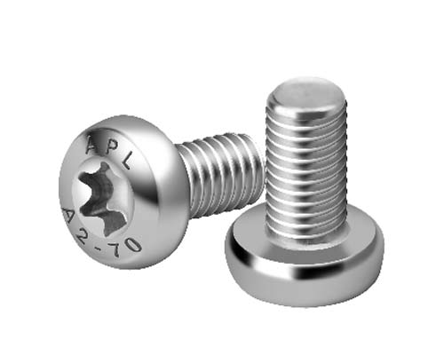 HEXABULAR SOCKET PAN HEAD TORX SS SCREW Suppliers