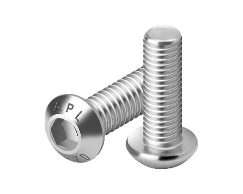 SS SOCKET BUTTON HEAD SCREW, Corrosion Resistance Stainless Fasteners