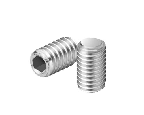 HEX SOCKET SET SCREW - FLAT POINT SS Screw